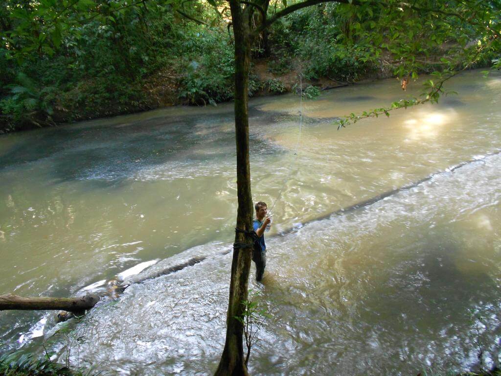 Im Wasser Im Wasser